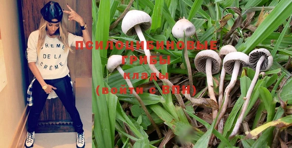 PSILOCYBIN Абаза