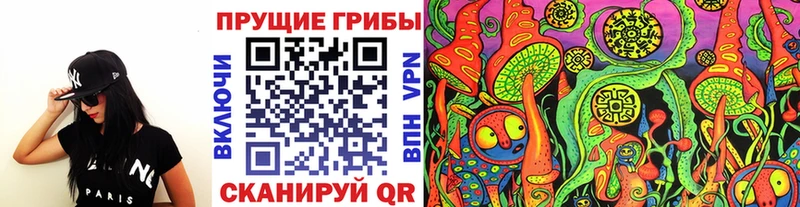 наркотики  Черемхово  MEGA ONION  Галлюциногенные грибы GOLDEN TEACHER 