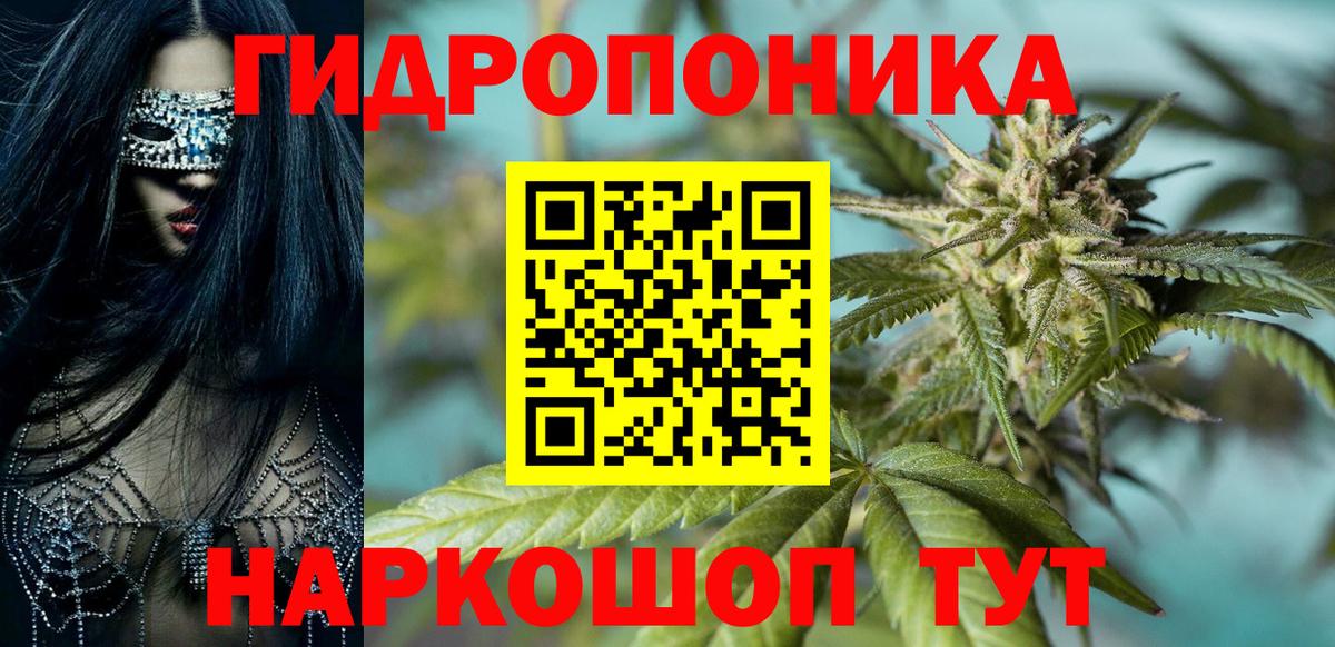 Канабис OG Kush Черемхово